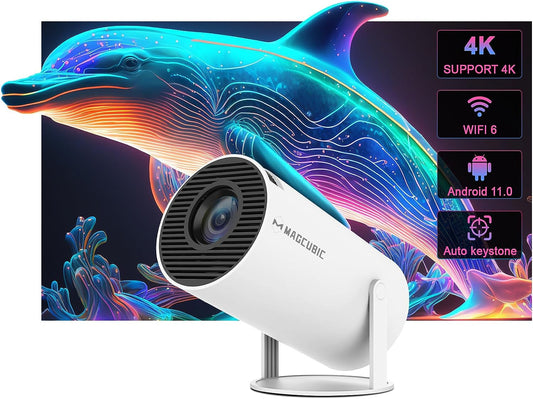 INDOOR & OUTDOOR 4K PROJECTOR