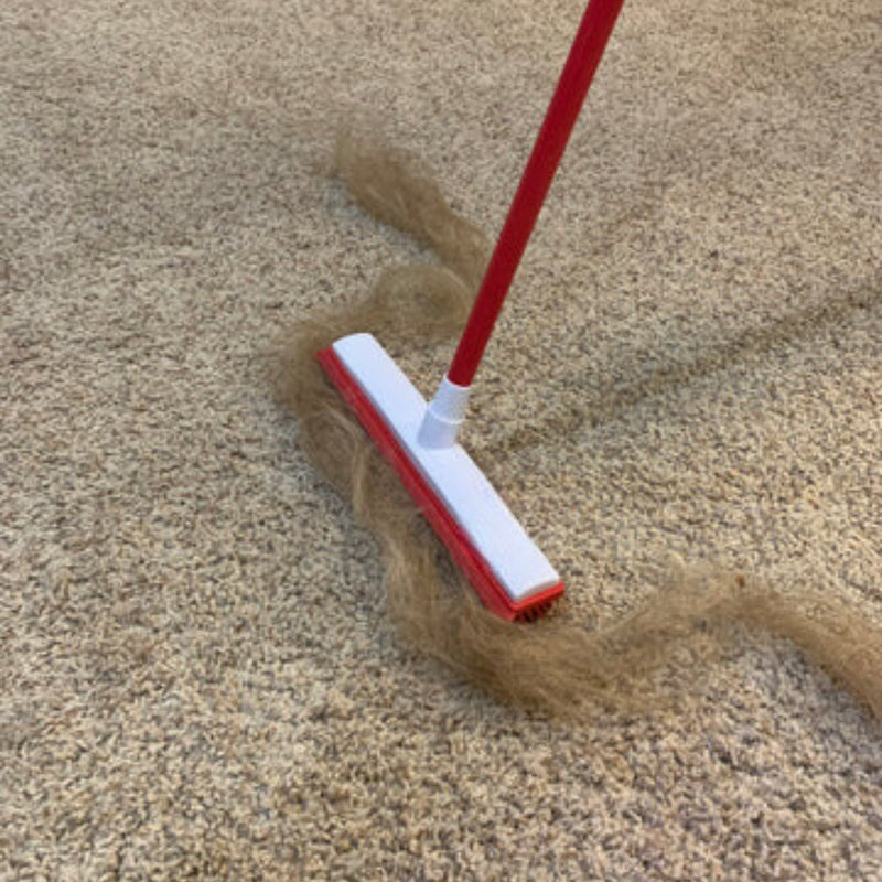 Hair Removal Broom