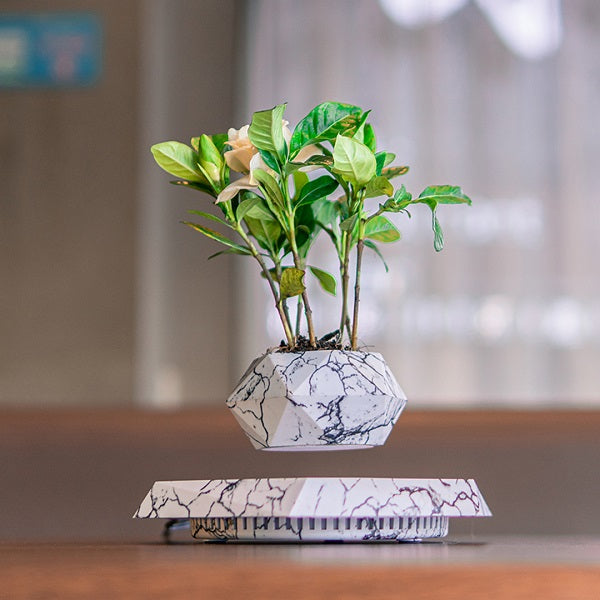 Levitation Plants Pot Table Plants Display